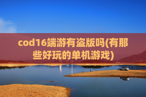 cod16端游有盗版吗(有那些好玩的单机游戏)