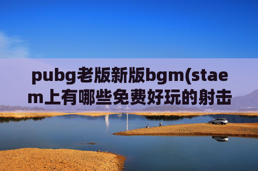 pubg老版新版bgm(staem上有哪些免费好玩的射击类游戏)
