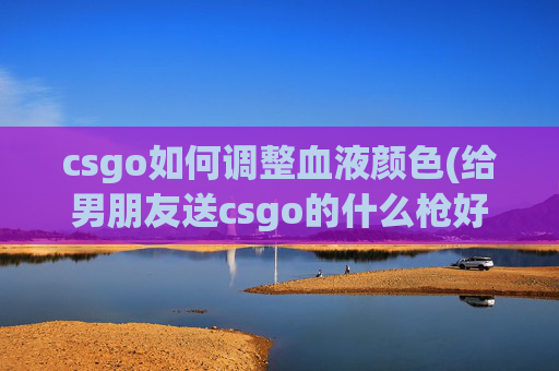 csgo如何调整血液颜色(给男朋友送csgo的什么枪好)