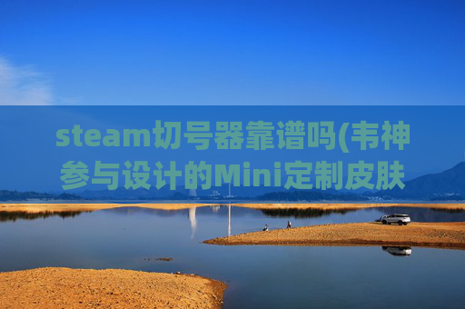 steam切号器靠谱吗(韦神参与设计的Mini定制皮肤520上线)