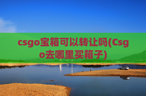 csgo宝箱可以转让吗(Csgo去哪里买箱子)
