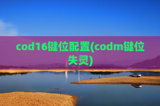 cod16键位配置(codm键位失灵)