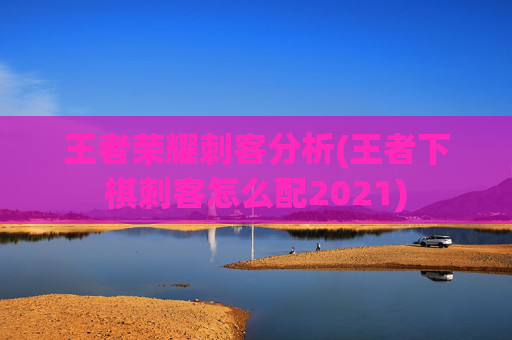 王者荣耀刺客分析(王者下棋刺客怎么配2021)