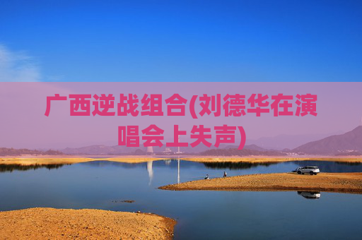 广西逆战组合(刘德华在演唱会上失声)