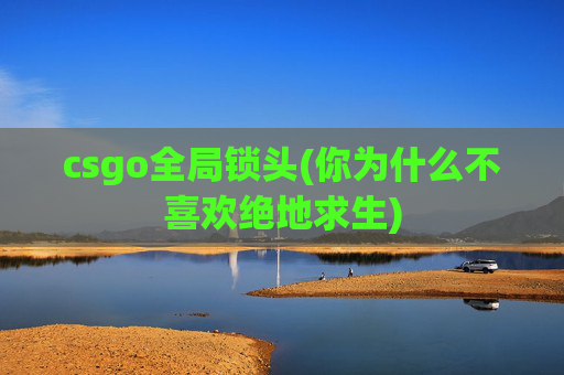 csgo全局锁头(你为什么不喜欢绝地求生)