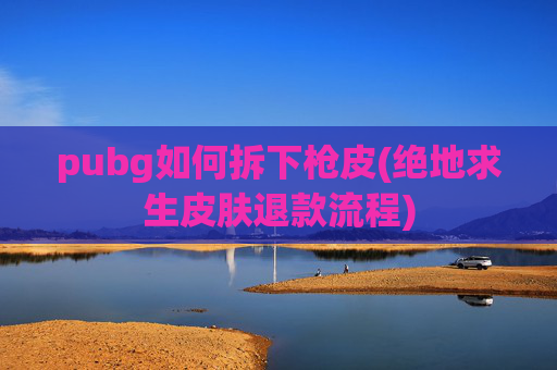 pubg如何拆下枪皮(绝地求生皮肤退款流程)
