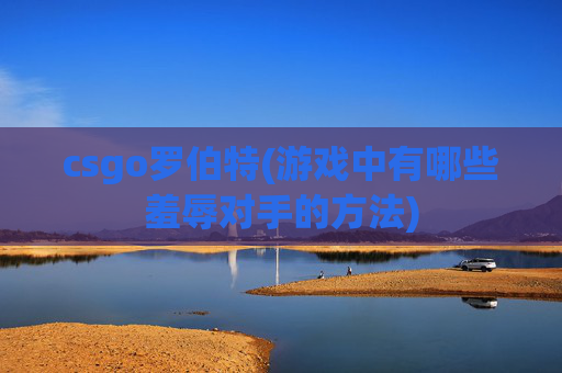 csgo罗伯特(游戏中有哪些羞辱对手的方法)