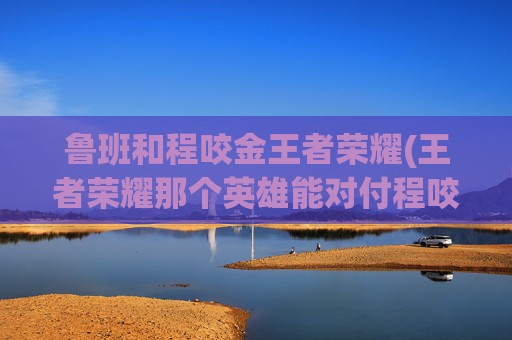 鲁班和程咬金王者荣耀(王者荣耀那个英雄能对付程咬金)