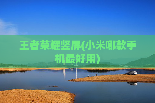 王者荣耀竖屏(小米哪款手机最好用)