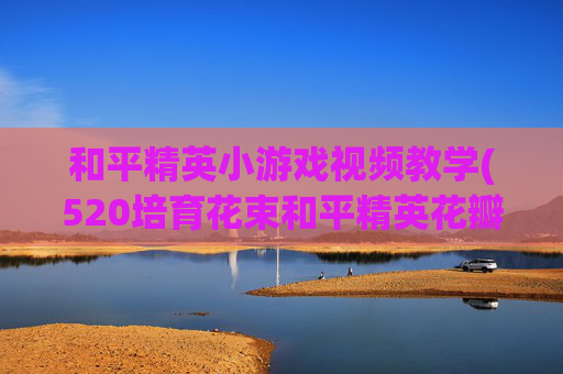 和平精英小游戏视频教学(520培育花束和平精英花瓣雨怎么用)