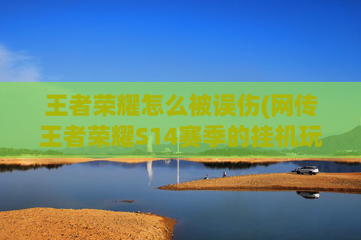 王者荣耀怎么被误伤(网传王者荣耀S14赛季的挂机玩家将被惩罚直降一个段位)