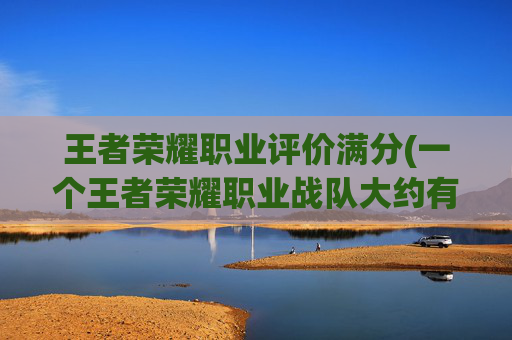 王者荣耀职业评价满分(一个王者荣耀职业战队大约有多少人)