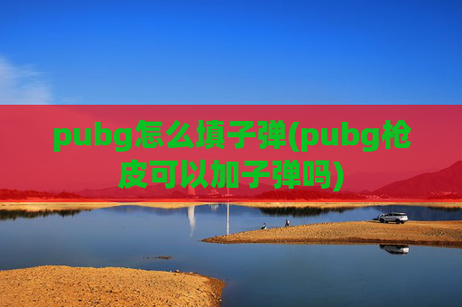 pubg怎么填子弹(pubg枪皮可以加子弹吗)