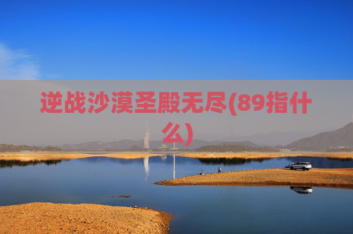 逆战沙漠圣殿无尽(89指什么)
