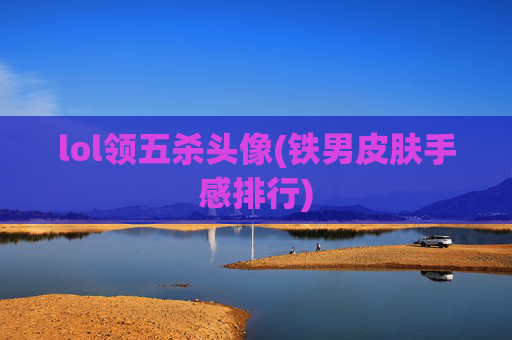 lol领五杀头像(铁男皮肤手感排行)