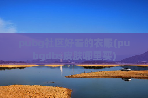 pubg社区好看的衣服(pubgdbs皮肤哪里买)