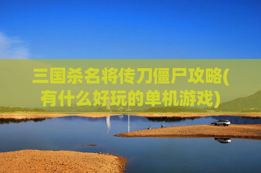 三国杀名将传刀僵尸攻略(有什么好玩的单机游戏)