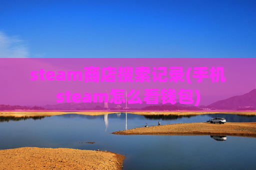 steam商店搜索记录(手机steam怎么看钱包)
