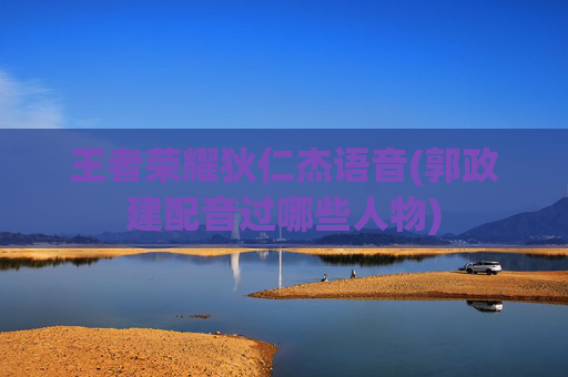 王者荣耀狄仁杰语音(郭政建配音过哪些人物)