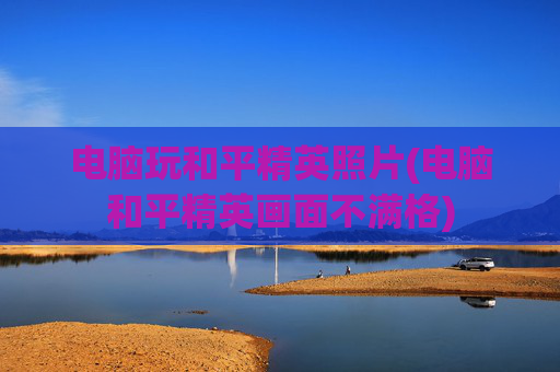 电脑玩和平精英照片(电脑和平精英画面不满格)