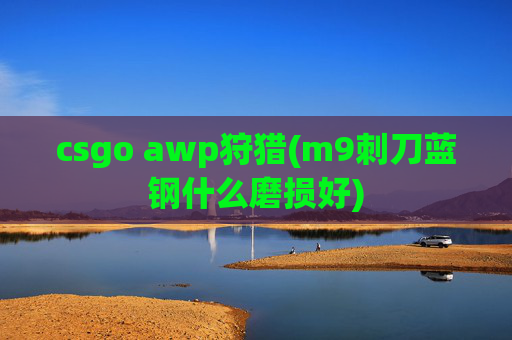 csgo awp狩猎(m9刺刀蓝钢什么磨损好)