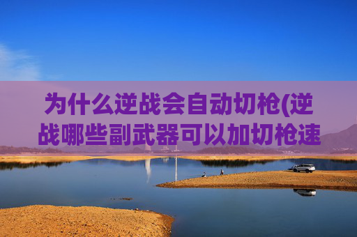 为什么逆战会自动切枪(逆战哪些副武器可以加切枪速度)