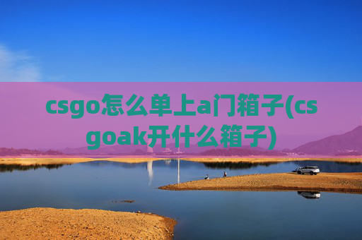 csgo怎么单上a门箱子(csgoak开什么箱子)