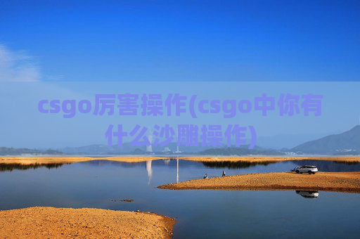 csgo厉害操作(csgo中你有什么沙雕操作)