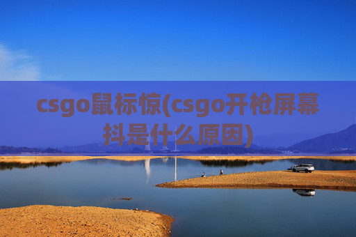 csgo鼠标惊(csgo开枪屏幕抖是什么原因)