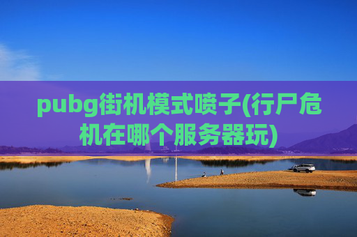 pubg街机模式喷子(行尸危机在哪个服务器玩)