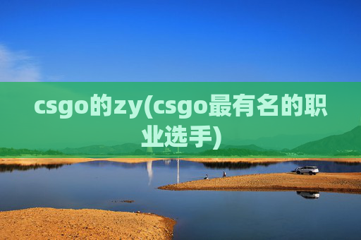 csgo的zy(csgo最有名的职业选手)