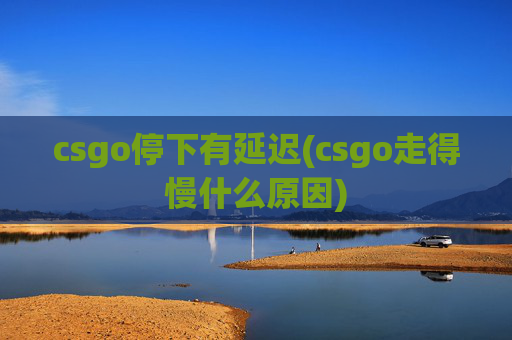 csgo停下有延迟(csgo走得慢什么原因)