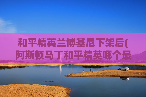 和平精英兰博基尼下架后(阿斯顿马丁和平精英哪个最贵)