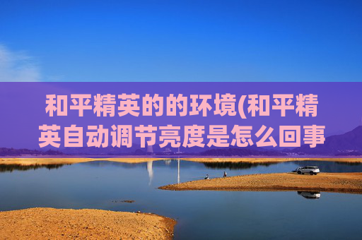 和平精英的的环境(和平精英自动调节亮度是怎么回事)