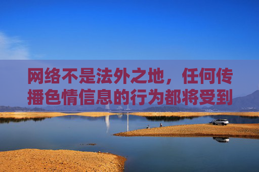网络不是法外之地，任何传播色情信息的行为都将受到法律的严惩。让我们携手共建文明、和谐、绿色的网络环境，严惩网络色情传播，共建文明绿色网络