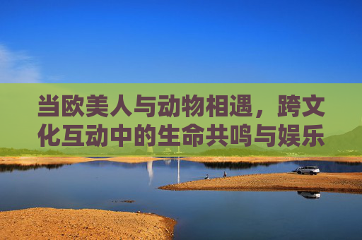 当欧美人与动物相遇，跨文化互动中的生命共鸣与娱乐新篇，欧美人与动物跨文化互动，生命共鸣与娱乐新篇