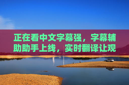 正在看中文字幕强,字幕辅助助手上线,实时翻译让观影无界限!字幕辅助助手,实时翻译,观影无界限