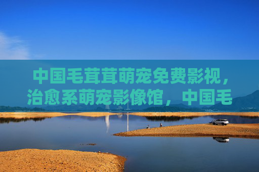 中国毛茸茸萌宠免费影视,治愈系萌宠影像馆,中国毛茸茸萌宠治愈系免费影像馆