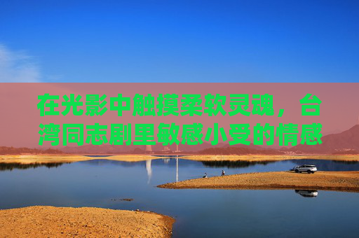 在光影中触摸柔软灵魂,台湾同志剧里敏感小受的情感世界与性格图谱,光影中的柔软灵魂,台湾同志剧敏感小受情感性格图谱
