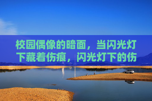 校园偶像的暗面，当闪光灯下藏着伤痕，闪光灯下的伤痕，校园偶像的暗面