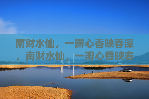南财水仙，一瓣心香映春深，南财水仙，一瓣心香映春深