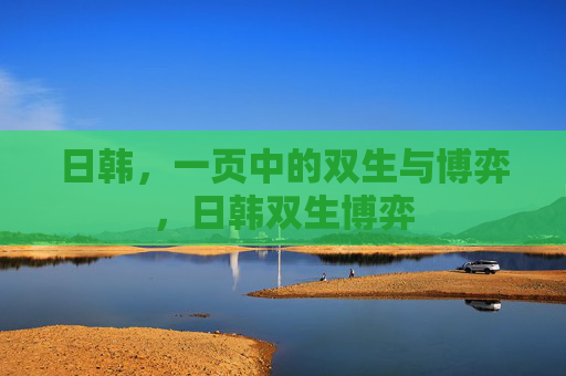 日韩,一页中的双生与博弈,日韩双生博弈