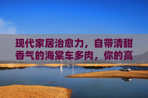 现代家居治愈力,自带清甜香气的海棠车多肉,你的高颜绿植新宠,现代家居高颜治愈新宠,自带清甜香气的海棠车多肉