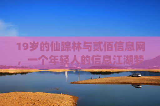 19岁的仙踪林与贰佰信息网，一个年轻人的信息江湖梦，19岁仙踪林与贰佰信息网，年轻人的信息江湖梦