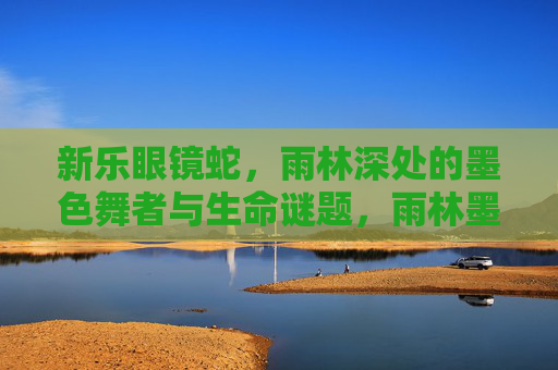 新乐眼镜蛇,雨林深处的墨色舞者与生命谜题,雨林墨舞,新乐眼镜蛇的生命谜题