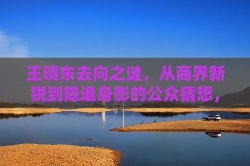 王晓东去向之谜,从商界新锐到隐退身影的公众猜想,王晓东去向之谜,商界新锐隐退引公众猜想