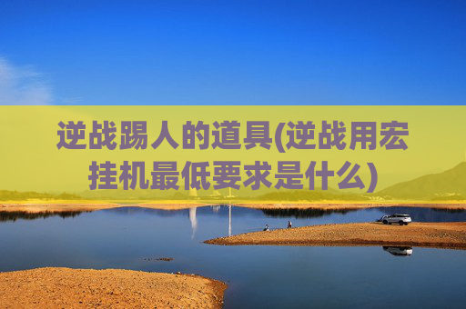 逆战踢人的道具(逆战用宏挂机最低要求是什么)
