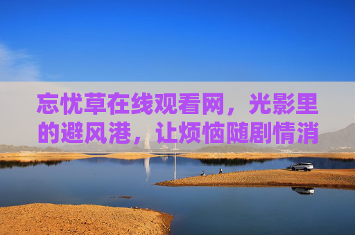 忘忧草在线观看网，光影里的避风港，让烦恼随剧情消散，光影避风港，忘忧草网，让烦恼随剧情消散