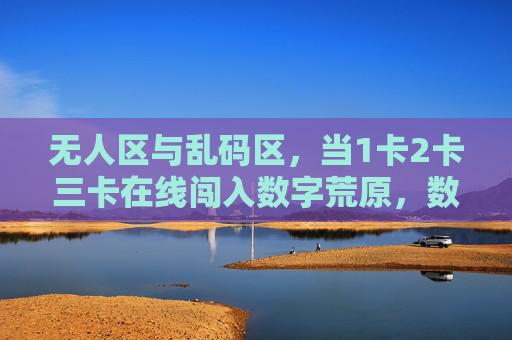 无人区与乱码区，当1卡2卡三卡在线闯入数字荒原，数字荒原，1卡2卡三卡在线闯入无人区与乱码区