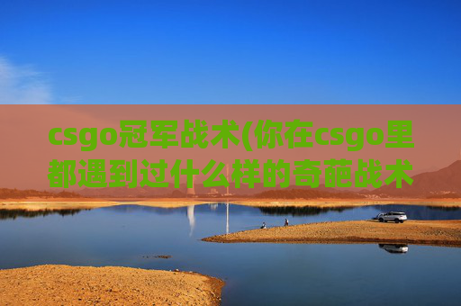 csgo冠军战术(你在csgo里都遇到过什么样的奇葩战术)